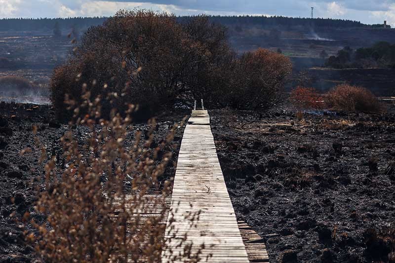 Hoge Venen brand