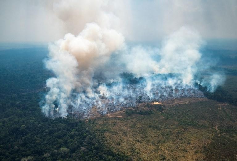brand in het Amazonewoud