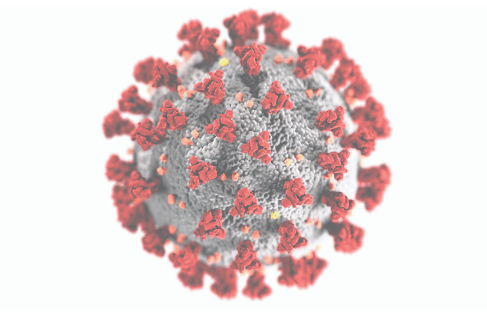 het corona-virus